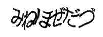 Authentication image